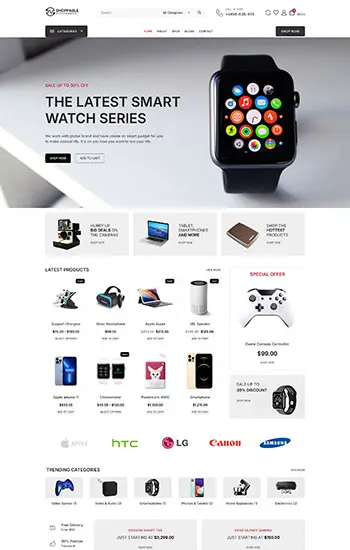 Wordpress electronic Website